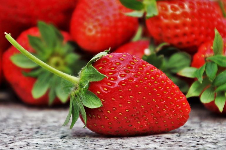 10 Best Personal Blenders for Smoothies in 2025 (Tested & Reviewed)